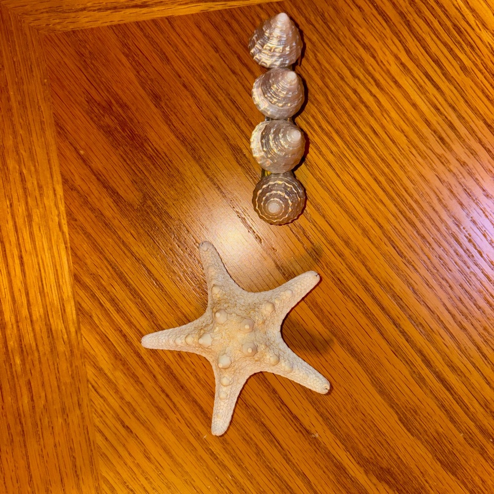 Natural Starfish and Seashell Hair Clips
